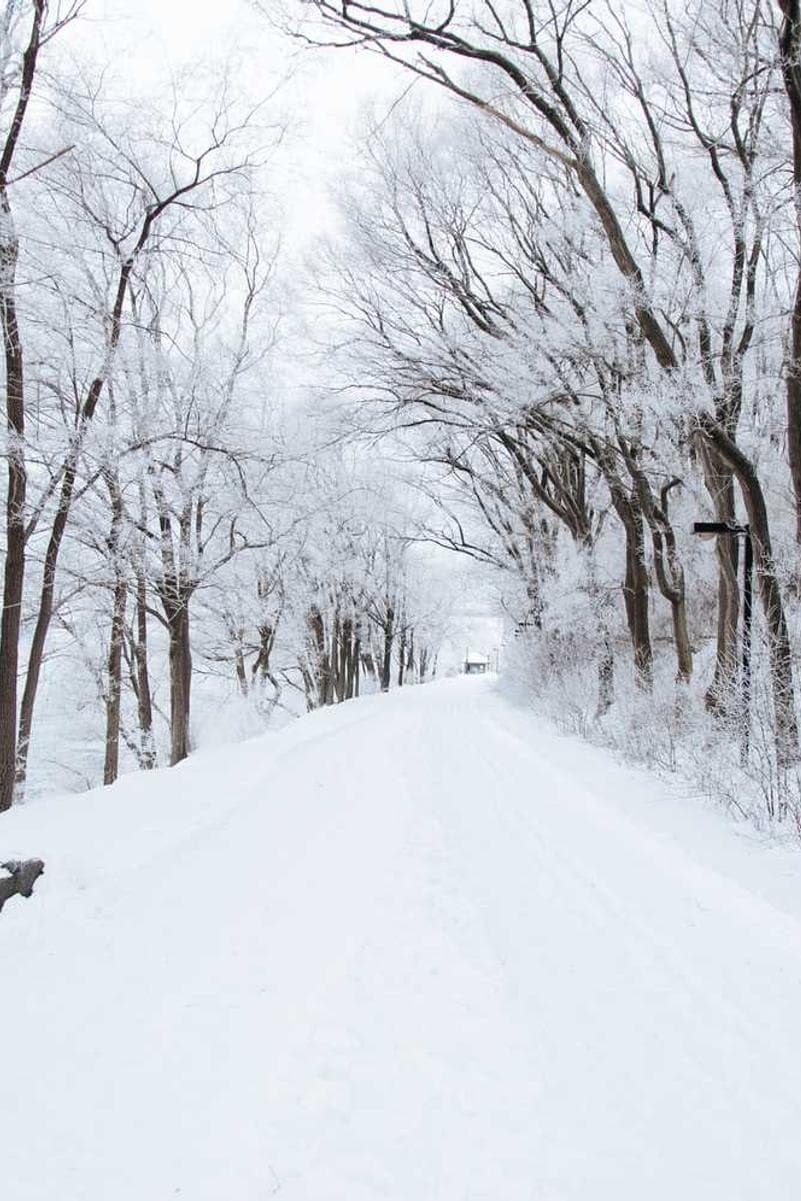 BITS PDF Konverter screenshot 2